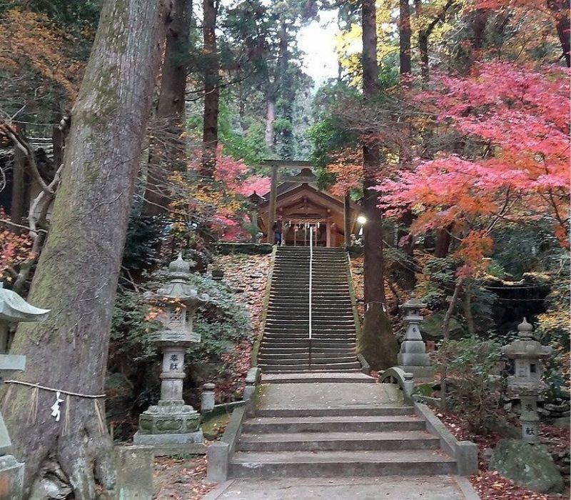 Ise Jingu (Nhật Bản): Cẩm nang trải nghiệm ‘thánh địa tâm linh’ từ A-Z 6