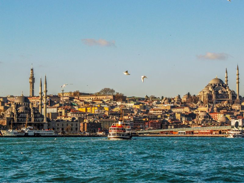 Khám phá Istanbul, vương quốc của những chú mèo 2
