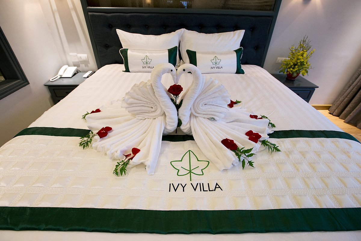 Ivy Villa Hoi An - Khu nghỉ dưỡng Hội An đẳng cấp 2 sao 4