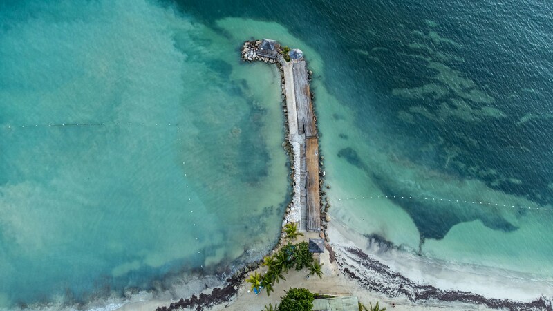 Chinh phục Jamaica, viên ngọc quý giữa vùng Caribbean 5