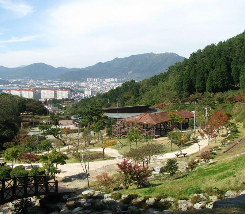 Lạc bước vào Jinhae, thiên đường hoa anh đào đẹp nhất Hàn Quốc 9