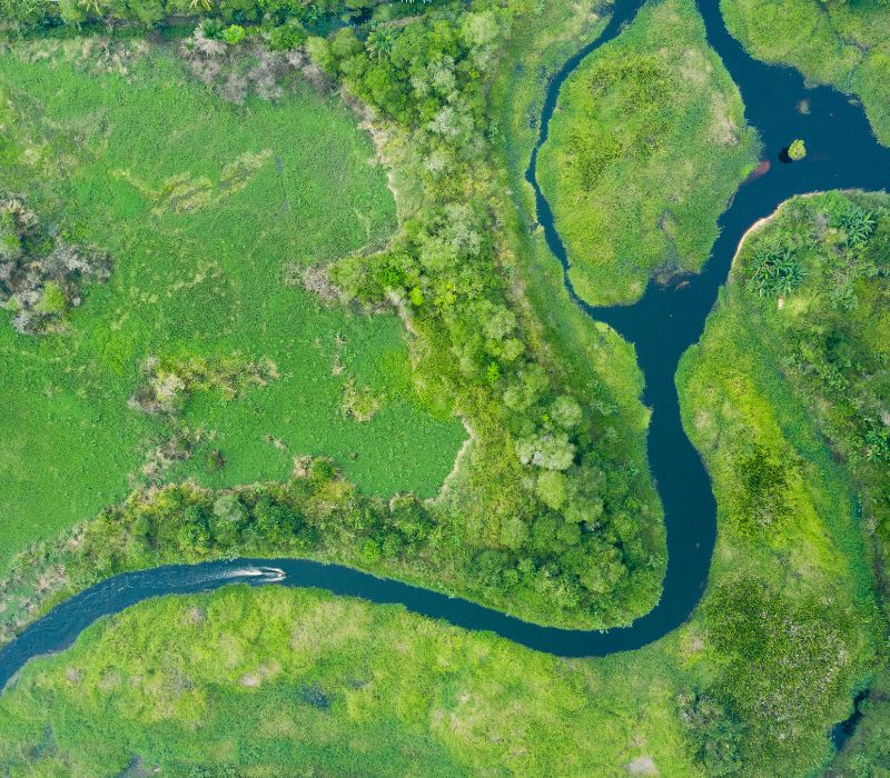 Khám phá Kalimantan, vùng đất bí ẩn và hoang dã của Indonesia 3