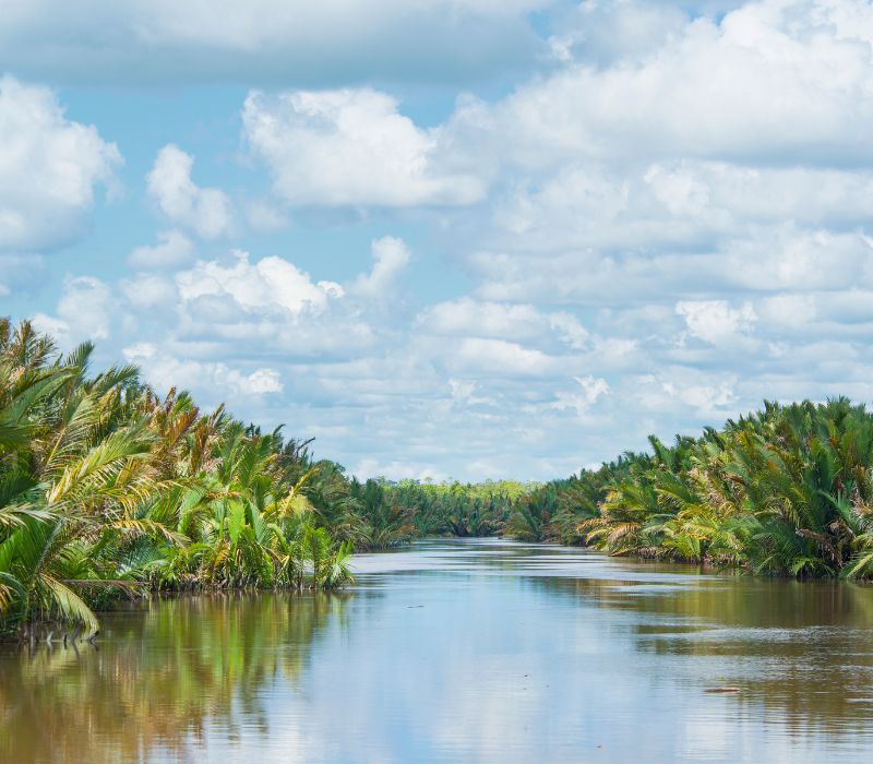 Khám phá Kalimantan, vùng đất bí ẩn và hoang dã của Indonesia 9