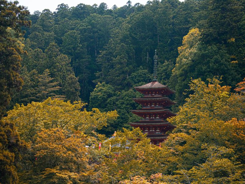 Khám phá Kamakura đầy cổ kính và yên bình bên cạnh Tokyo 9