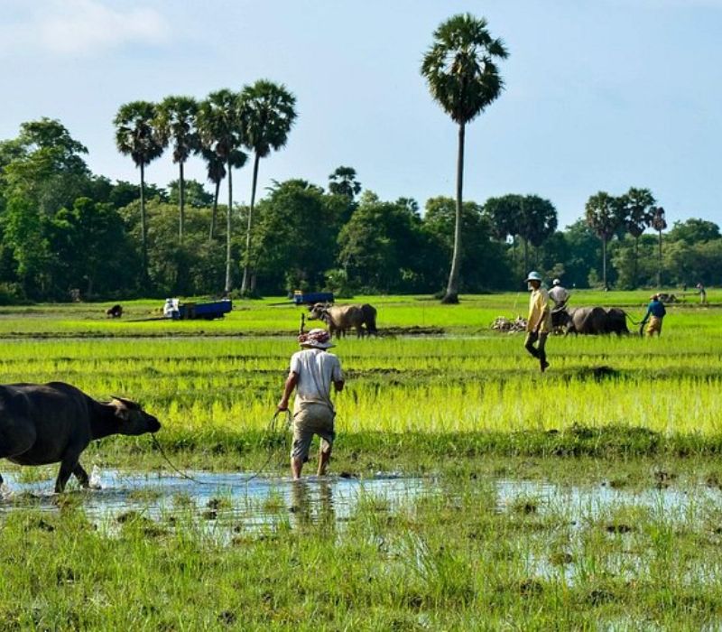 Kampong Cham, nét đẹp mộc mạc và bình yên của Campuchia 2