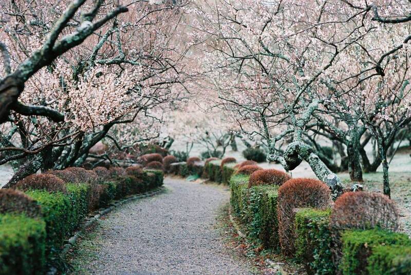 Kanagawa điểm cân bằng hoàn hảo giữa thiên nhiên và đô thị Nhật Bản 13