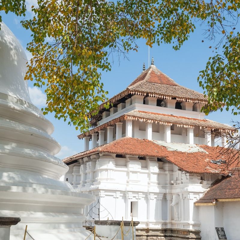 Hành trình tìm về Kandy, cố đô văn hóa của Sri Lanka 4