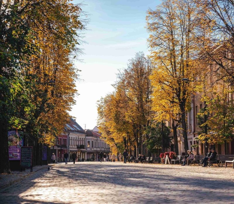 Du lịch Kaunas Lithuania: Top điểm đến, lịch trình và kinh nghiệm trải nghiệm 9