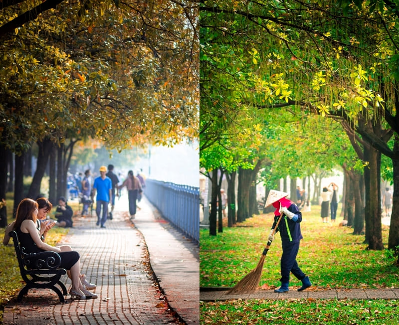 Kênh Nhiêu Lộc - Thị Nghè: Dải lụa xanh giữa lòng TP.HCM 7