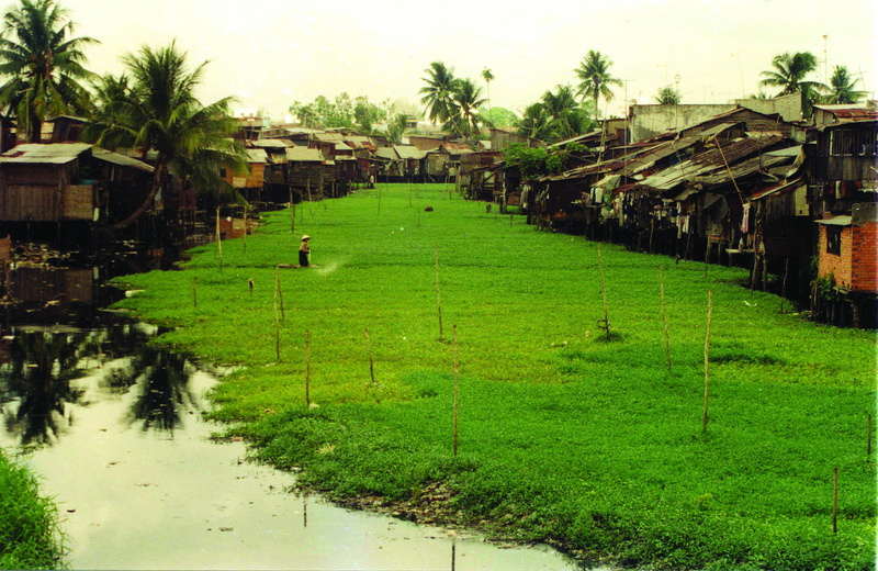 Kênh Nhiêu Lộc - Thị Nghè: Dải lụa xanh giữa lòng TP.HCM 4