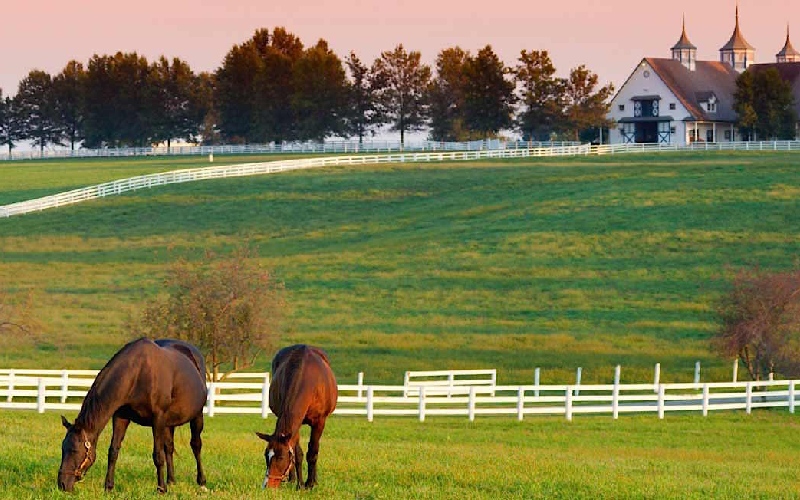 Du lịch Kentucky và những trải nghiệm độc đáo không nên bỏ lỡ 9