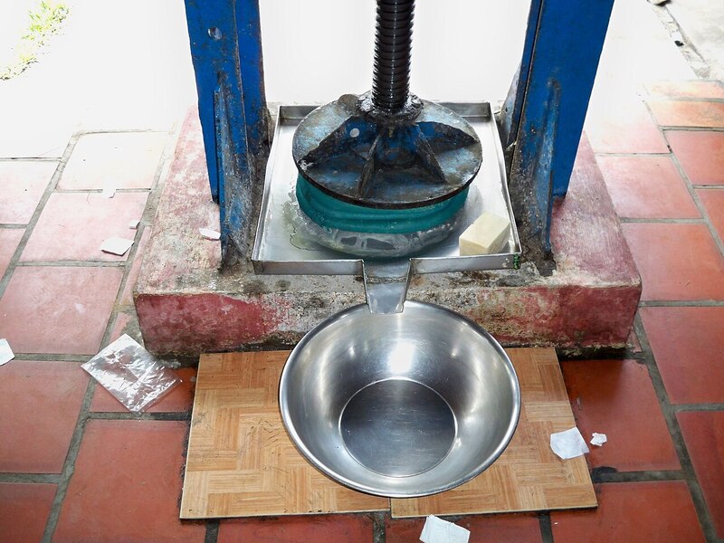 Hương vị kẹo dừa Bến Tre ngọt ngào từ xứ dừa xanh mướt 4