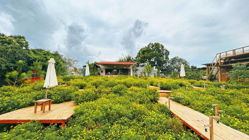 Top 17 khách sạn Mộc Châu giá tốt, view núi rừng tuyệt đỉnh 31