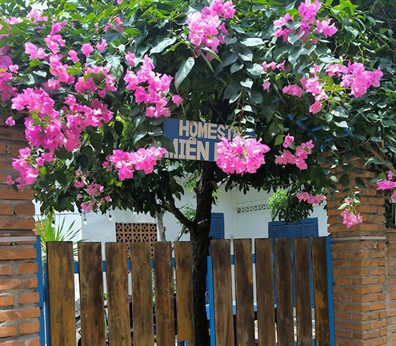 Top 10 khách sạn Vĩnh Hy view đẹp, phòng chill, giá đỉnh (cập nhật 2026) 7