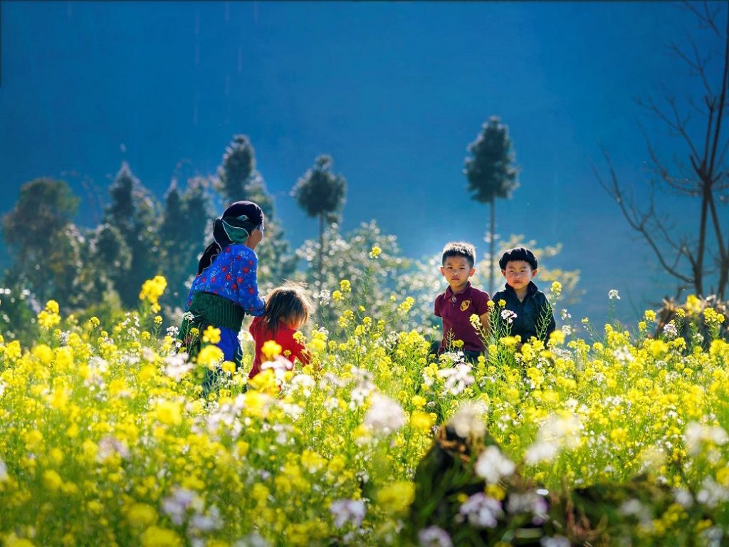 Khám phá 7 mùa hoa đẹp ở Mộc Châu khiến bao trái tim say đắm 8