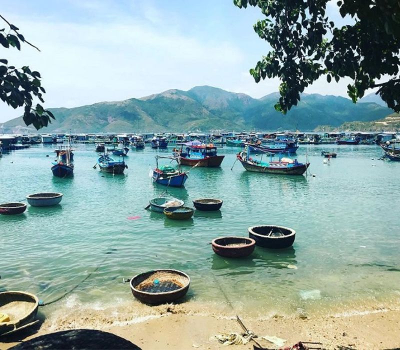 Khám phá Bãi Tranh, thiên đường biển tuyệt đẹp tại Nha Trang 6