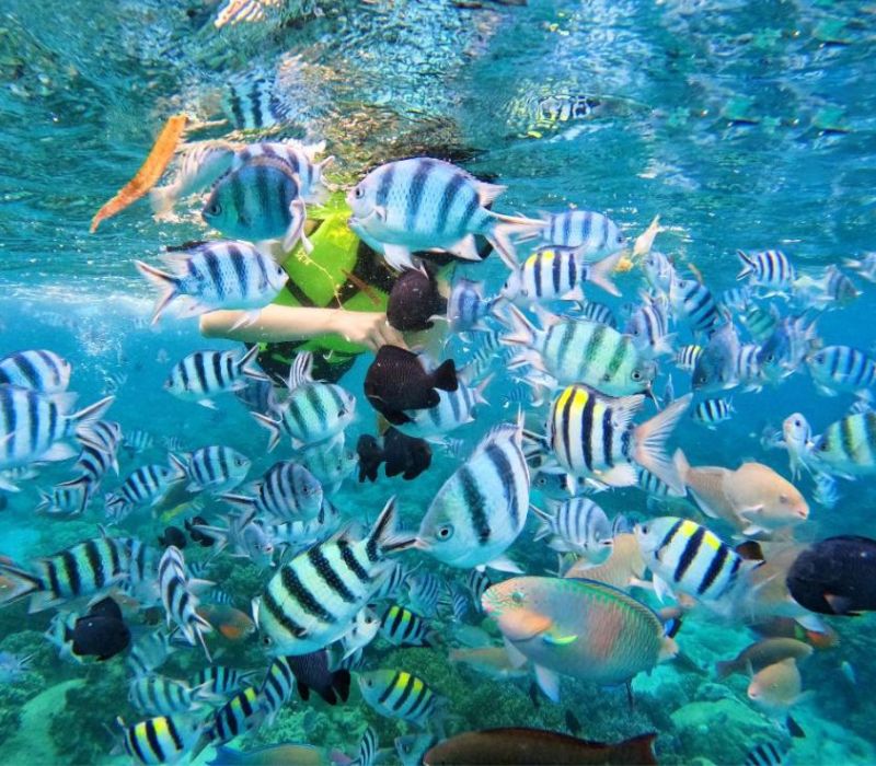 Khám phá Bãi Tranh, thiên đường biển tuyệt đẹp tại Nha Trang 10
