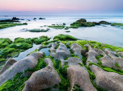 Khám phá biển Cổ Thạch đẹp tựa tiên cảnh tại Bình Thuận