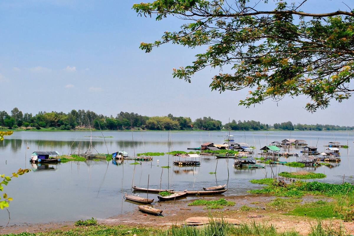 Khám phá Búng Bình Thiên, hồ Nước Trời lớn nhất Tây Nam Bộ 6