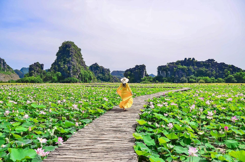 Khám phá các món ăn từ sen tươi Ninh Bình với hương vị đồng quê 2