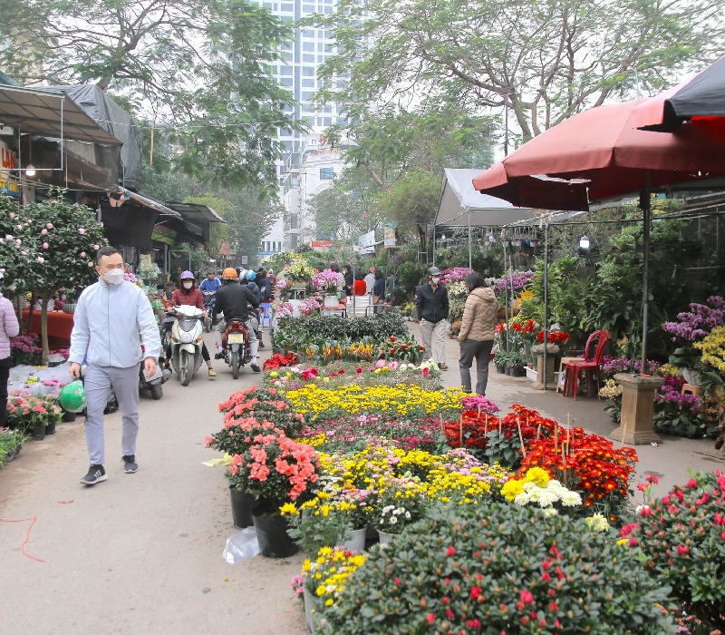 Khám phá Chợ Hoa Cây Cảnh Vạn Phúc Hà Đông mùa giáp Tết