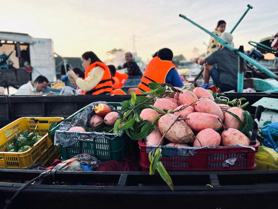 Khám phá Chợ nổi Cái Răng, nét đặc sắc của riêng miền Tây sông nước 8