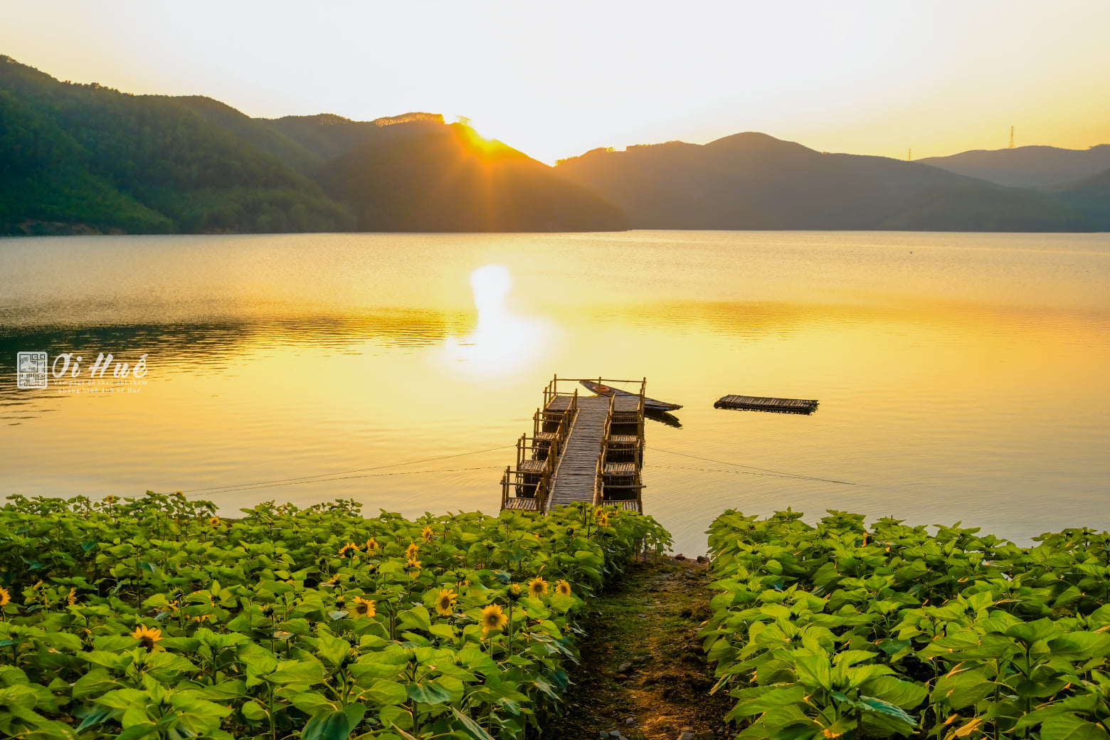 Khám phá cơn sốt mang tên Hồ Khe Ngang khiến giới trẻ điên đảo 2