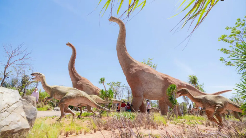 Khám phá Dino Park, công viên khủng long lớn nhất Việt Nam 5