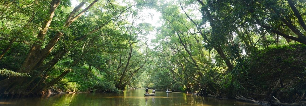 Khám phá Công viên Ozo Quảng Bình với nhiều trò chơi hấp dẫn