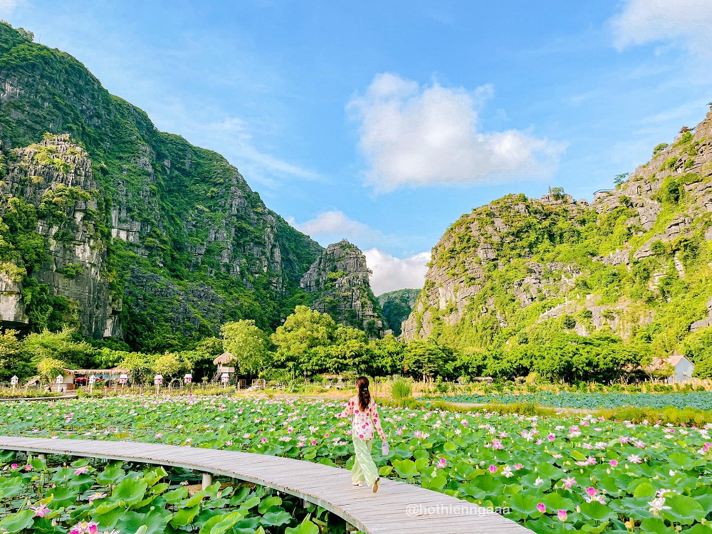 Khám phá Đầm sen Hang Múa Ninh Bình đẹp quên lối về cùng Hồ Thiên Nga 7