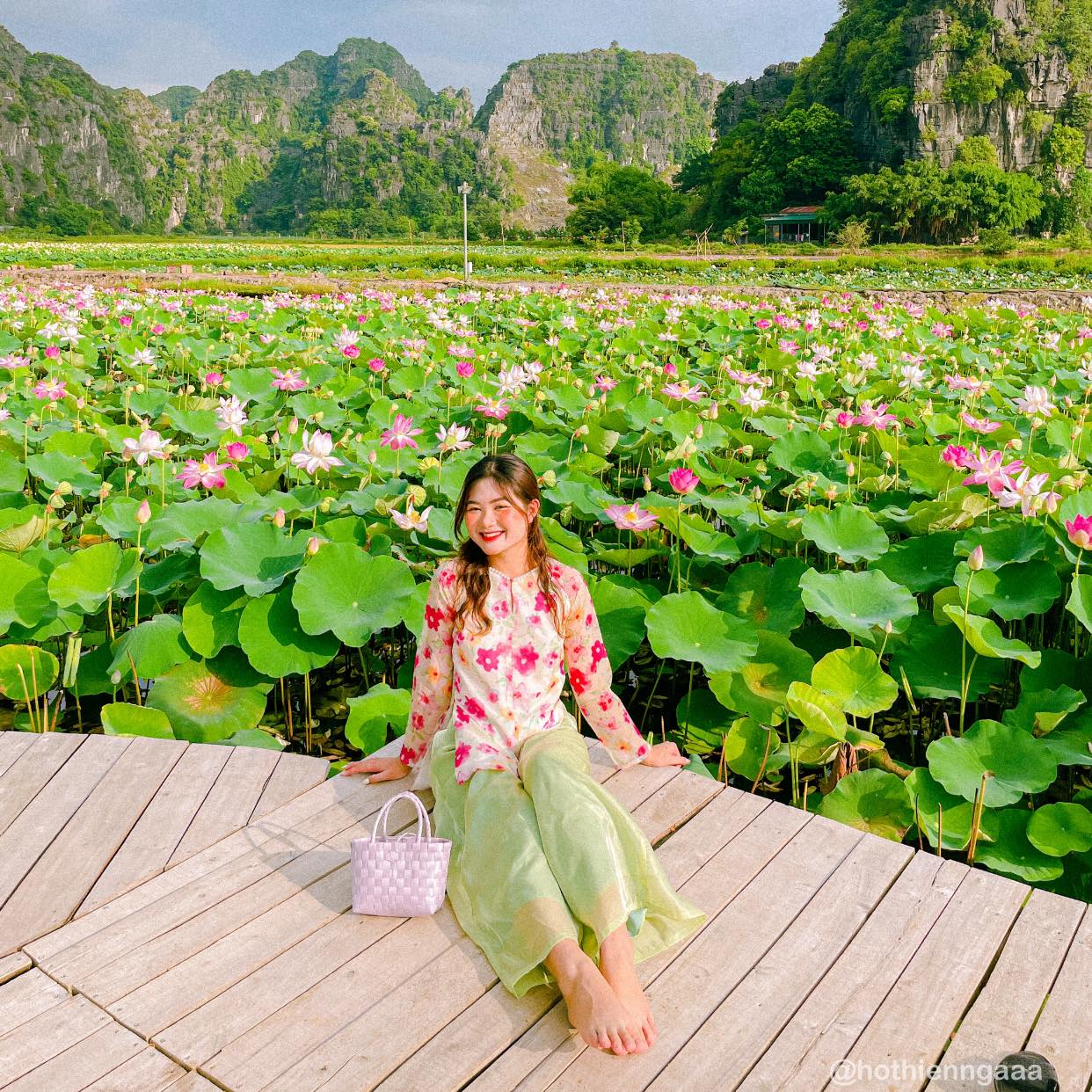 Khám phá Đầm sen Hang Múa Ninh Bình đẹp quên lối về cùng Hồ Thiên Nga 8