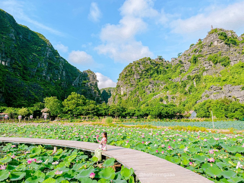 Khám phá Đầm sen Hang Múa Ninh Bình đẹp quên lối về cùng Hồ Thiên Nga 2