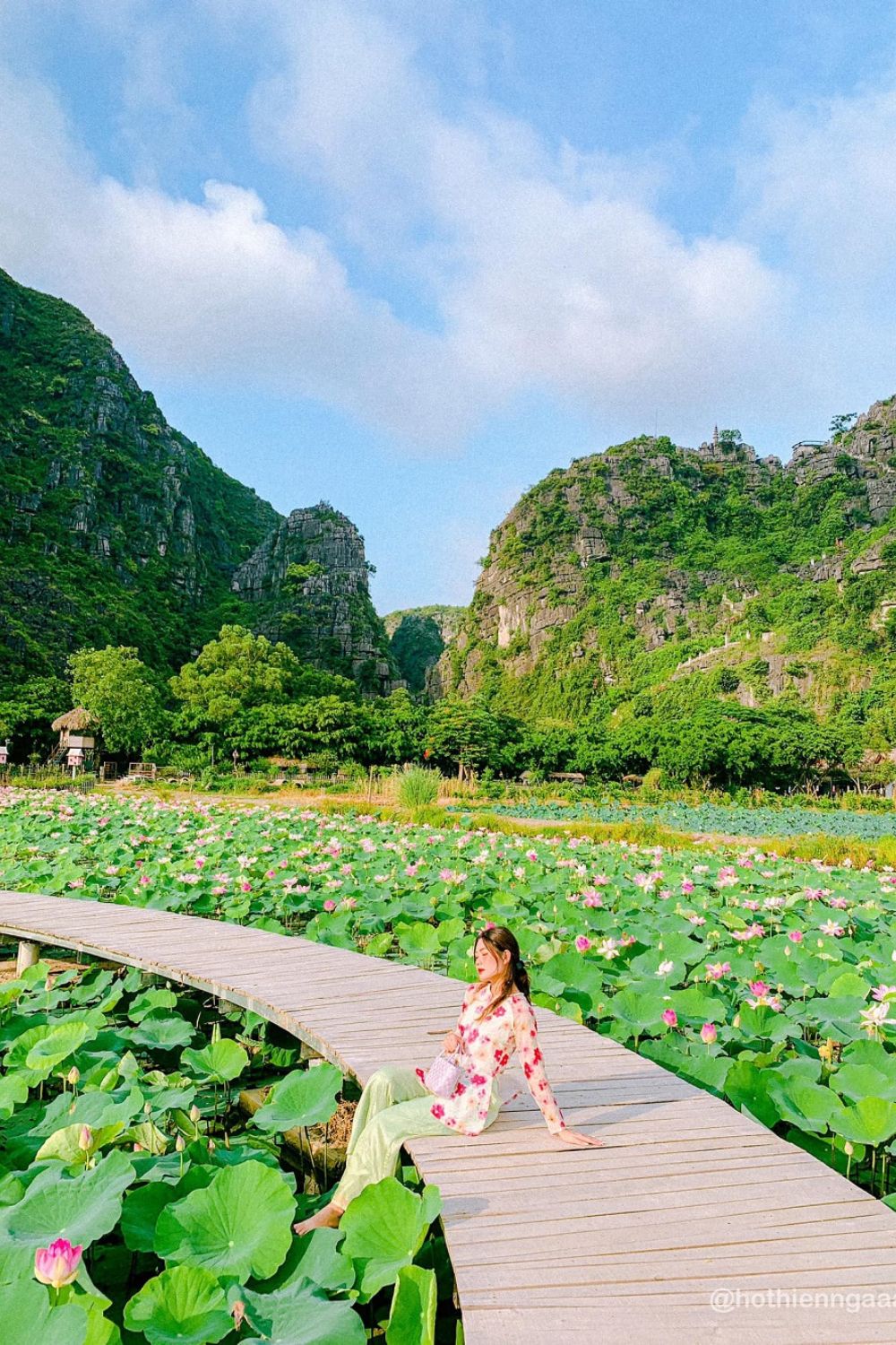 Khám phá Đầm sen Hang Múa Ninh Bình đẹp quên lối về cùng Hồ Thiên Nga 4