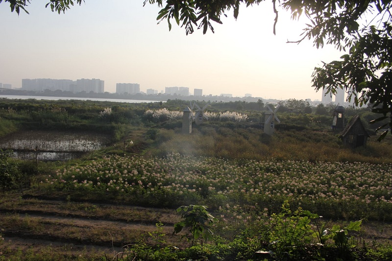 Khám phá Hà Nội đẹp như cổ tích ngay tại vườn Nhãn Long Biên