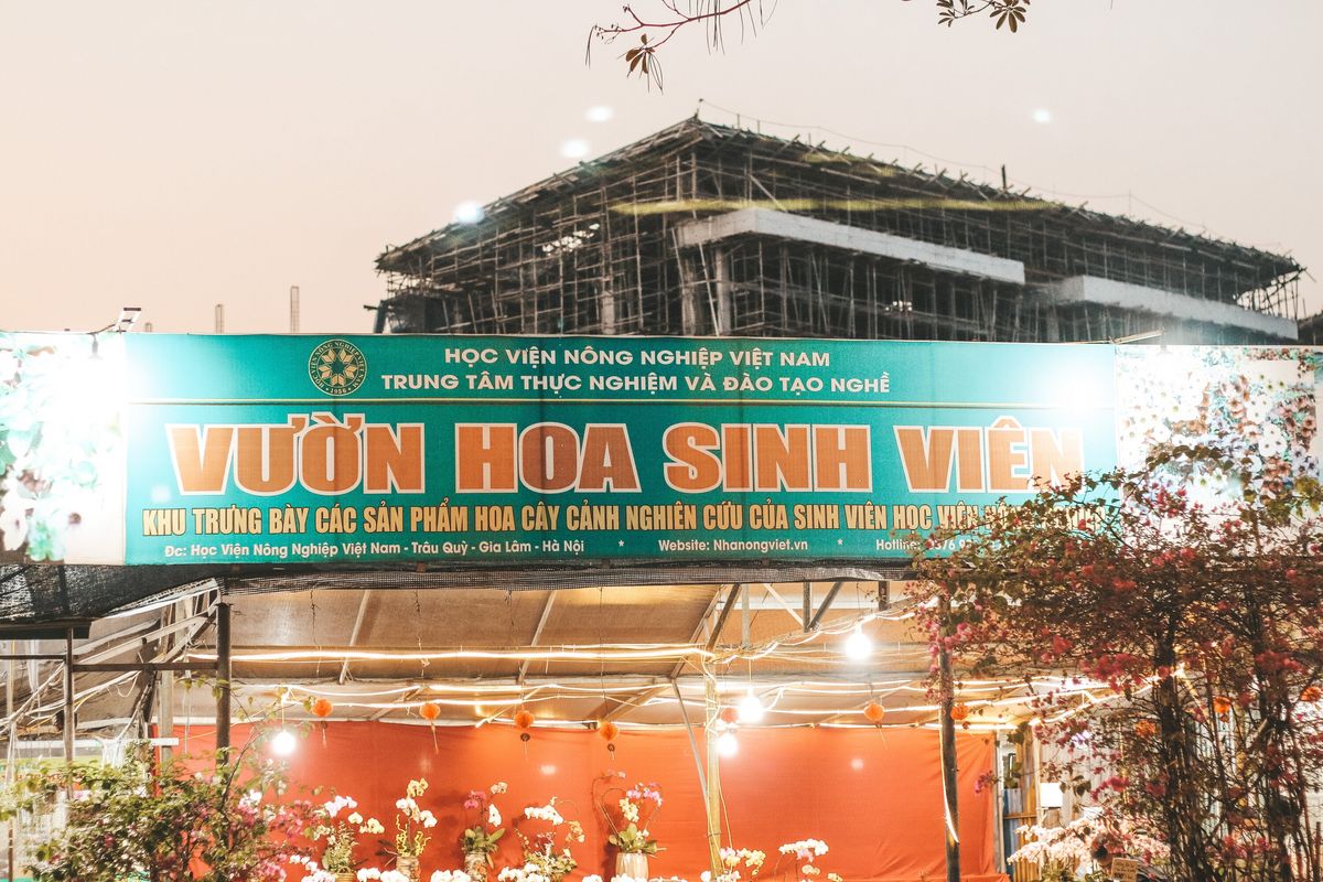 Khám phá Hà Nội quả vẻ đẹp đầy ấn tượng tại Học viện Nông nghiệp Việt Nam 14