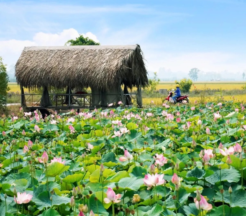 Khám phá Hồng Ngự Đồng Tháp mùa nước nổi