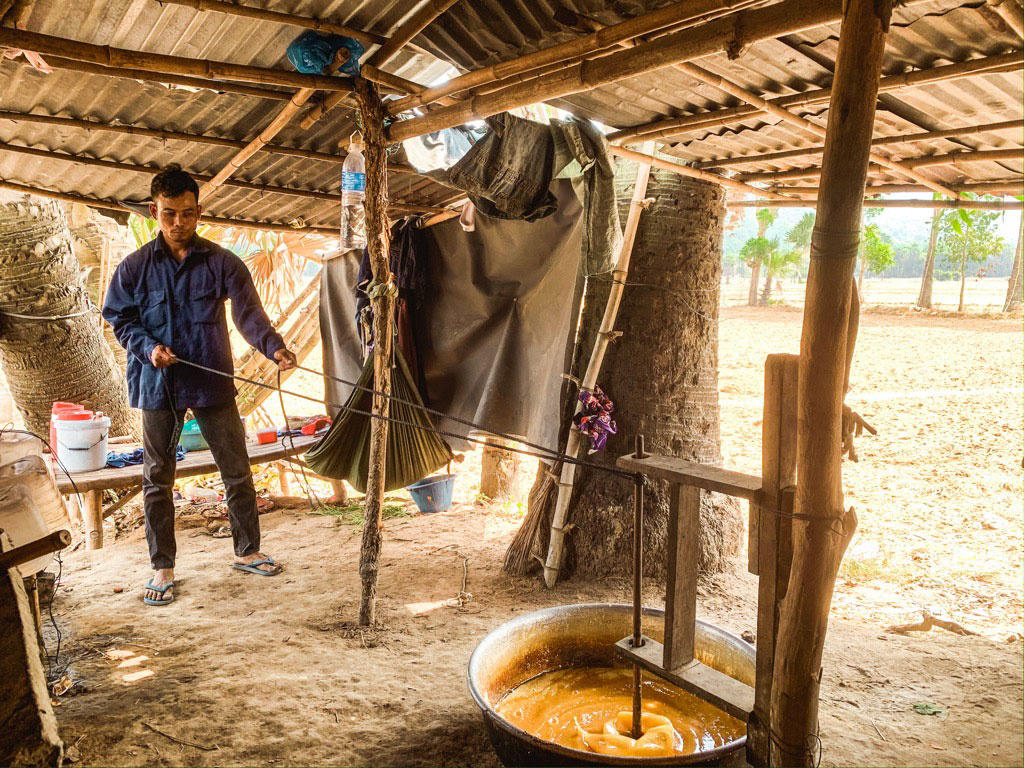 Khám phá làng nghề nấu đường thốt nốt ở An Giang vào mùa khô 8
