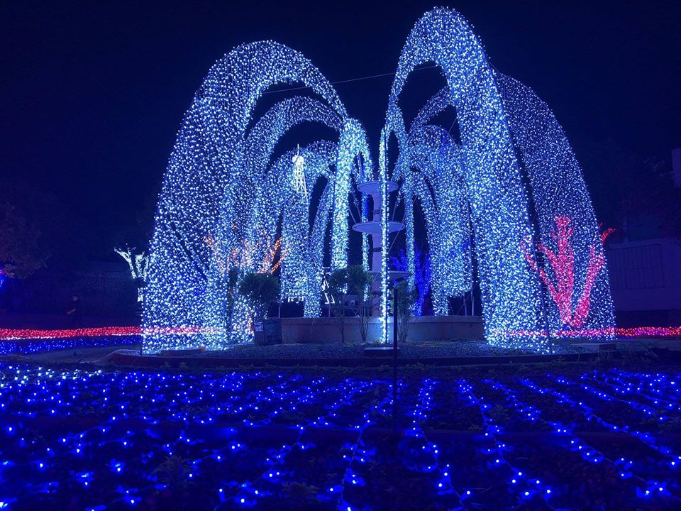Khám phá Lễ hội ánh sáng Mộc Châu tại Công viên ánh sáng Pha Luông 5