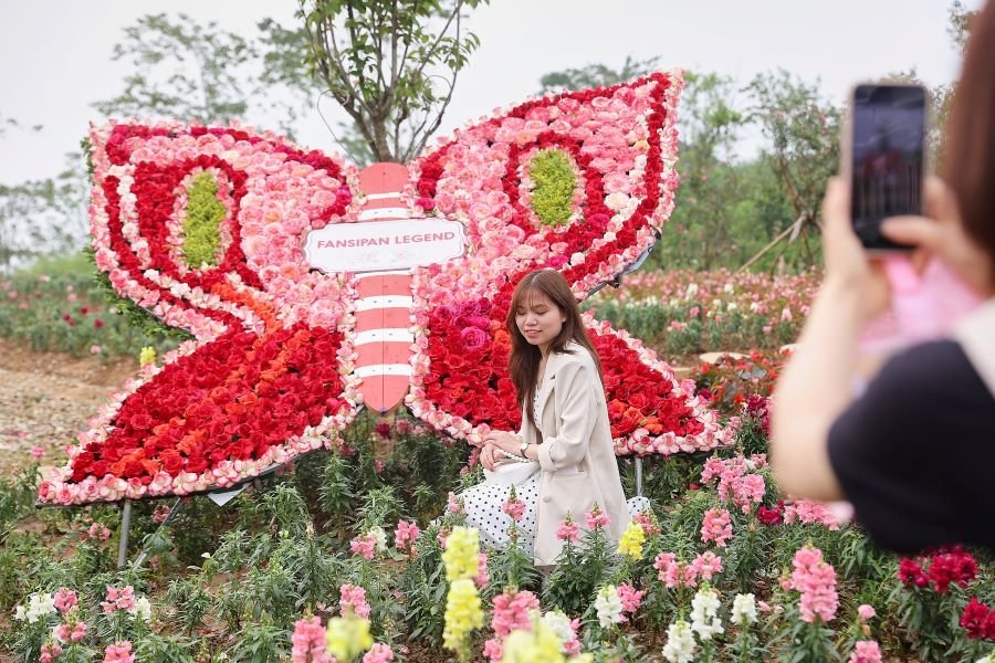 Khám phá lễ hội hoa hồng Fansipan 2022 lớn nhất vùng Tây Bắc 3