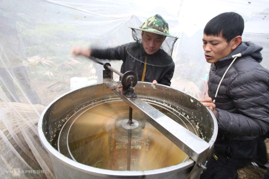 Khám phá mùa mật ong bạc hà Hà Giang trên cao nguyên đá Đồng Văn 4