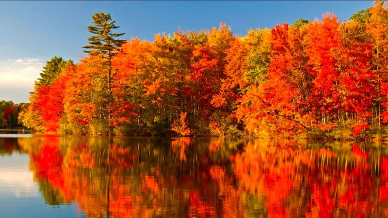 Mùa thu Canada và bức tranh thiên nhiên đẹp xao xuyến 7
