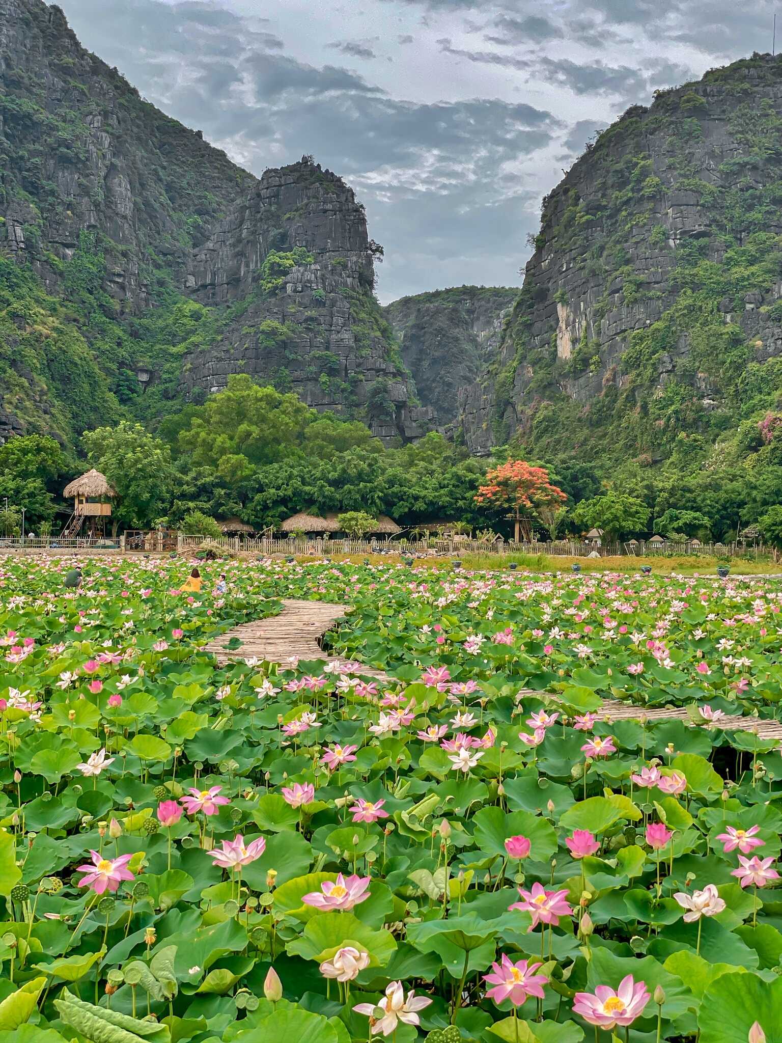 Khám phá Ninh Bình trong 24H cùng travel blogger Mạnh Tiến Khôi 5