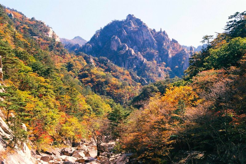 Núi Seorak với cảnh đẹp 4 mùa lay động trái tim người yêu thiên nhiên 8