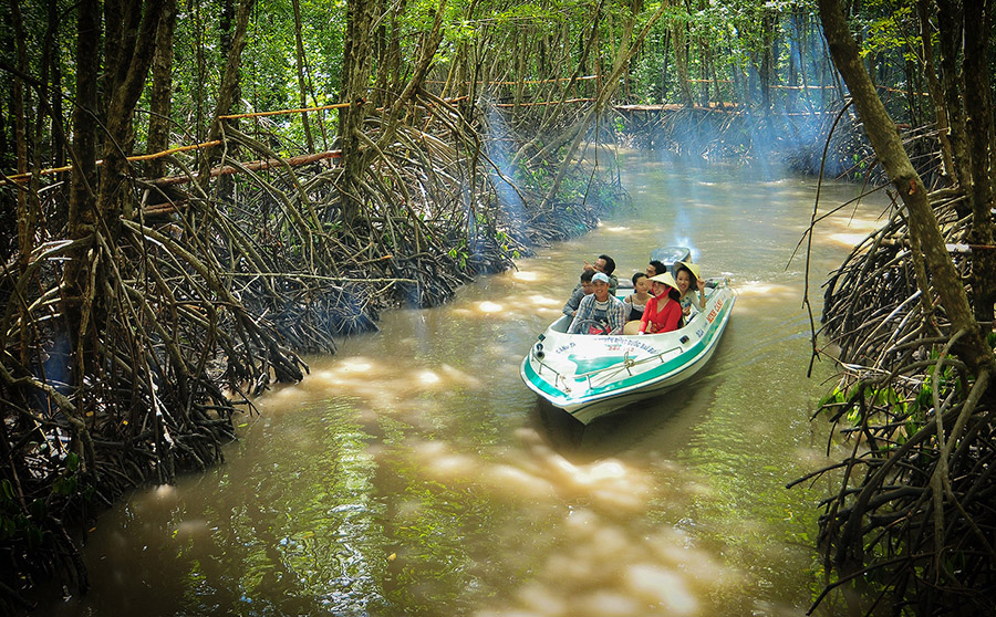 Khám phá rừng ngập mặn Cà Mau với vô vàn trải nghiệm thú vị 7