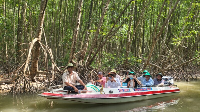 Khám phá rừng ngập mặn Cà Mau với vô vàn trải nghiệm thú vị 12