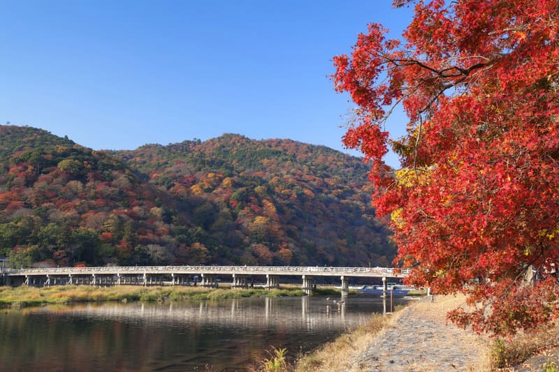 Khám phá rừng tre Sagano, mê cung xanh mướt giữa lòng Kyoto 7