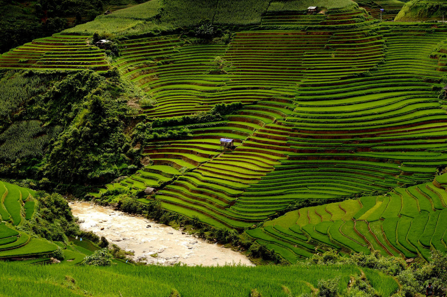 Khám phá Ruộng bậc thang xã Zế Xu Phình đẹp đắm say lòng người 3