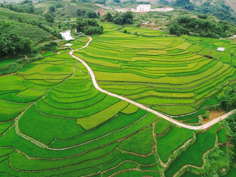 Khám phá Suối Lìn Sơn La - Điểm ngắm ruộng bậc thang đẹp ở Vân Hồ 5