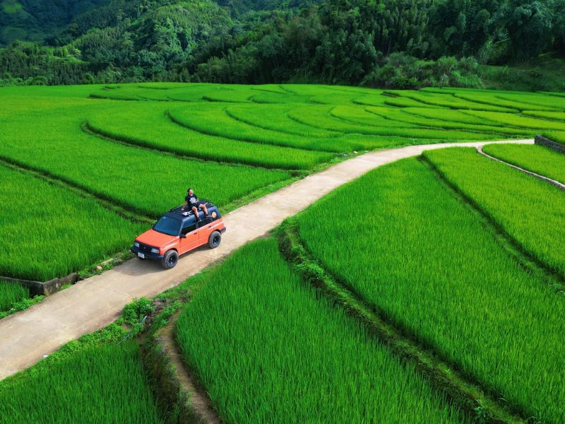 Khám phá Suối Lìn Sơn La - Điểm ngắm ruộng bậc thang đẹp ở Vân Hồ 3
