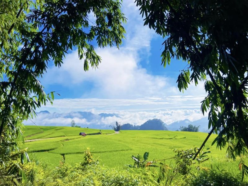 Khám phá Suối Lìn Sơn La - Điểm ngắm ruộng bậc thang đẹp ở Vân Hồ 2